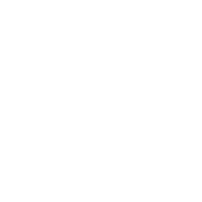 Fern Baby Fern - Branding Kit - 4
